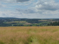 Limbacher Runde 41 - Naturwaldreservat Nauberg