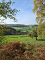 Panoramablick