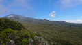 Panoramas