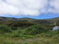 Panoramas