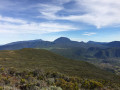 Panoramas
