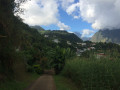 Panoramas