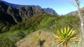 Panoramas Panoramas