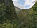 L'Ilet Quinquina et la Rivière des Pluies