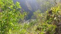 Panoramas