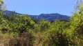 Panoramas