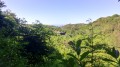Panoramas