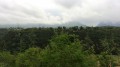 Panoramas