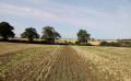 Crop field