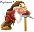 Papierre77