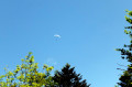 Parapente