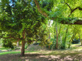 Autour du Boulevard Nature : de Gazonfier au Jardin des Plantes
