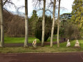 Parc Bargoin ... Parc Bargoin ...