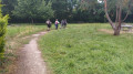 Parc communal de Bonrepos