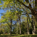 Parc de Bruz