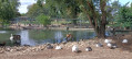 Parc de l'Eiblen et Lac Gerteis à Ensisheim