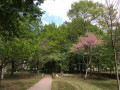 Parc de la Bégraisière