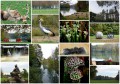 Parc de la tête d'or