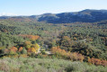 Parc de Picharis