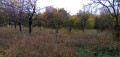 Parc des Gallicourts