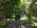 Parc des Vassaules