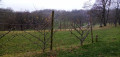 De Saint-Maur à Suçy-en-Brie par la Marne et le Parc du Morbras