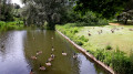 Parc du roi Baudouin