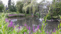 Parc du roi Baudouin