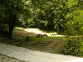 Parc du Sourdon Parc du Sourdon