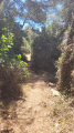 Parc du Vinaigrier