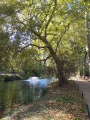 Parc Meissonier (Poissy)