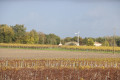 Parcelle de vigne et une éolienne pour lutter contre le gel