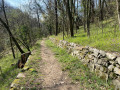 Parcours en sous bois