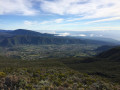 Le Piton Textor depuis la Plaine des Palmistes