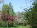 ParK Sant Primel