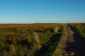 Part of the 'yellow brick road' with a PCWW post