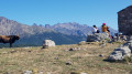 La Corse entre Montagne et Mer