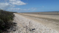 Partie plage