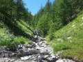 Le Lac des Grenouilles Le Lac des Grenouilles