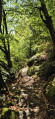 Entre plaine et forêt à La Meilleraie et Saint-Michel-le-Cloucq