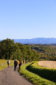 Passage avec vue sur les Pyrénées Passage avec vue sur les Pyrénées