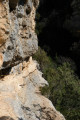 Le sentier du Bastidon en boucle depuis La Palud-Sur-Verdon