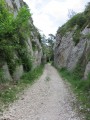 Glanum and the Alpilles ridges