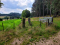 Passage de la deuxième barrière sur la gauche pour rejoindre le sentier herbeux Passage de la deuxième barrière sur la gauche pour rejoindre le sentier herbeux