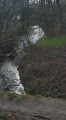 Le Bois des Côtes au départ de Fontaines-Saint-Martin