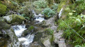 Passage difficile dans la gorge des Roitelets