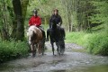 Balade de pleine nature, à cheval, au Pays de Cunlhat