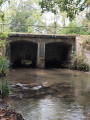 Episy, son marais et l'Etang de la Genevraye