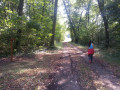 Passage en forêt