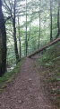 Passage en sous-bois Passage en sous-bois